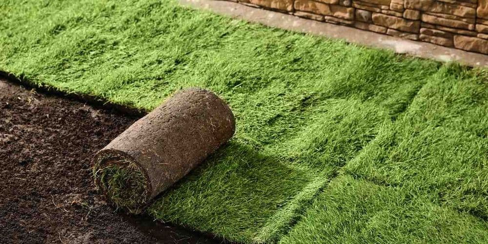 Lawn Laying & Installation